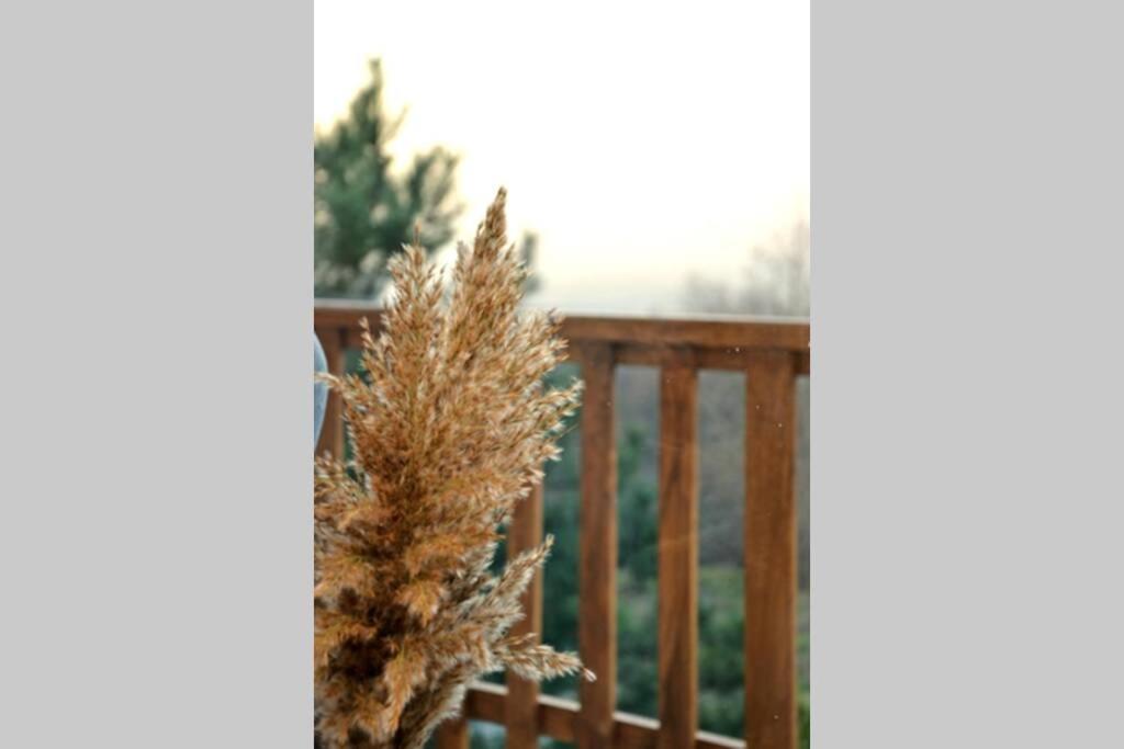 View Apartments Belasica Mokrijevo 외부 사진