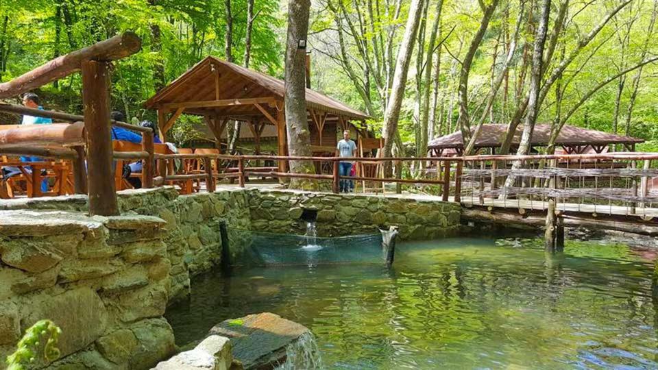 View Apartments Belasica Mokrijevo 외부 사진